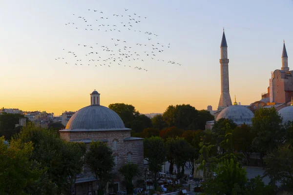 Ayasofya Kubbe ve minareler gün batımında eski İstanbul, Türkiye 'de