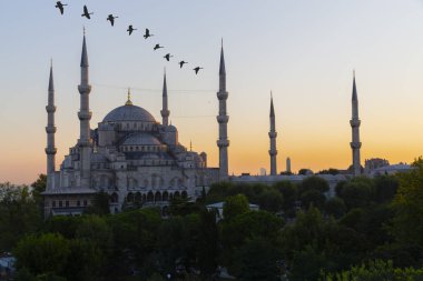 Sultan Ahmet Camii'nin havadan görünümü, havai uçan uçakla - İstanbul, Türkiye