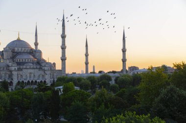 Sultan Ahmet Camii'nin havadan görünümü, havai uçan uçakla - İstanbul, Türkiye