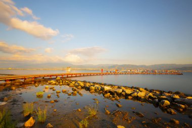 Palmiye ağaçları ve deniz sahilinde yeşil park.