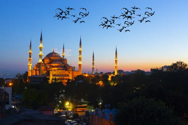 istanbul şehir gece manzara.