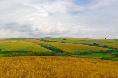 Mavi gökyüzünde dağda tarlada duran vahşi değirmen