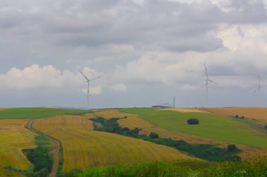 Mavi gökyüzünde dağda tarlada duran vahşi değirmen