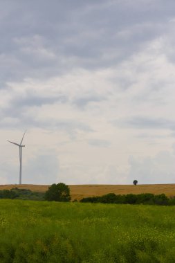 Mavi gökyüzünde dağda tarlada duran vahşi değirmen
