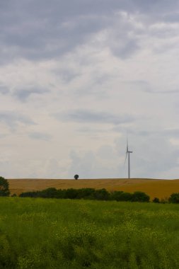 Mavi gökyüzünde dağda tarlada duran vahşi değirmen