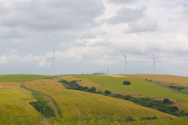 Mavi gökyüzünde dağda tarlada duran vahşi değirmen