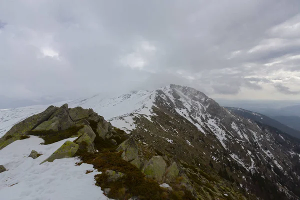 Karlı çam ormanında dağ kulübesi. Gün batımında karlı çam ormanı. Uludağ Milli Parkı, Bursa.