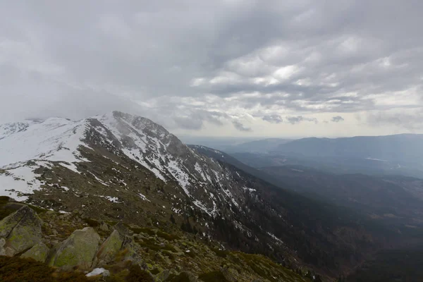 Karlı çam ormanında dağ kulübesi. Gün batımında karlı çam ormanı. Uludağ Milli Parkı, Bursa.