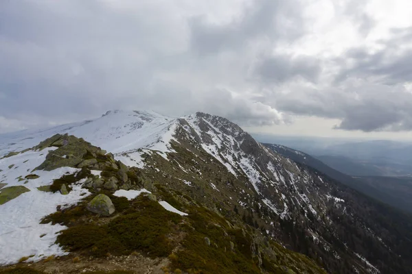 Karlı çam ormanında dağ kulübesi. Gün batımında karlı çam ormanı. Uludağ Milli Parkı, Bursa.