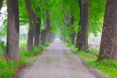 Doğanın güzel renkleri. Dudaklı, Bursa, Türkiye