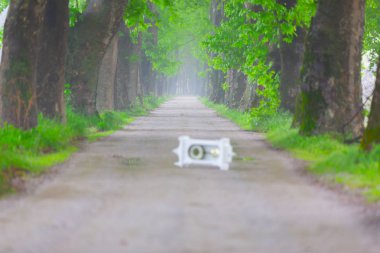 Doğanın güzel renkleri. Dudaklı, Bursa, Türkiye