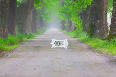 Doğanın güzel renkleri. Dudaklı, Bursa, Türkiye