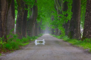 Doğanın güzel renkleri. Dudaklı, Bursa, Türkiye