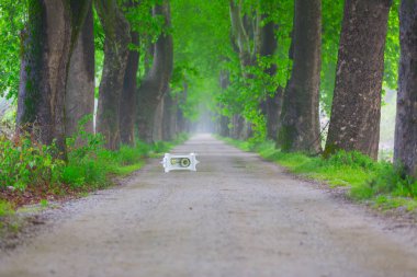 Doğanın güzel renkleri. Dudaklı, Bursa, Türkiye