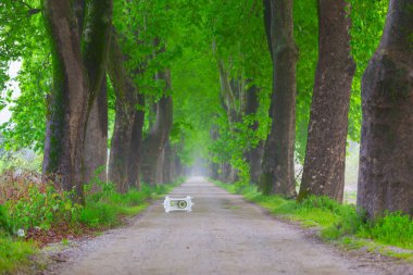 Doğanın güzel renkleri. Dudaklı, Bursa, Türkiye