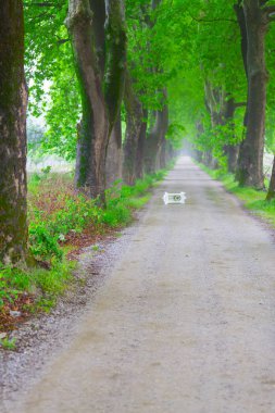 Doğanın güzel renkleri. Dudaklı, Bursa, Türkiye