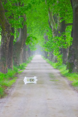 Doğanın güzel renkleri. Dudaklı, Bursa, Türkiye