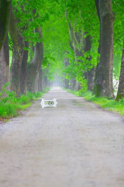 Doğanın güzel renkleri. Dudaklı, Bursa, Türkiye