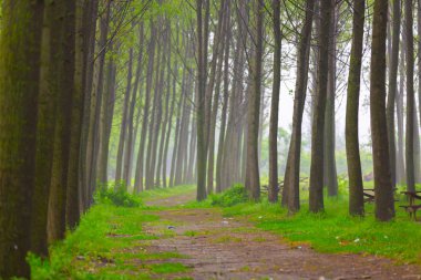 Doğanın güzel renkleri. Dudaklı, Bursa, Türkiye