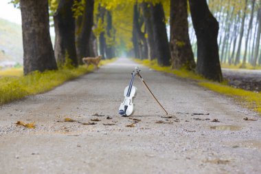 Doğanın güzel renkleri. Dudaklı, Bursa, Türkiye
