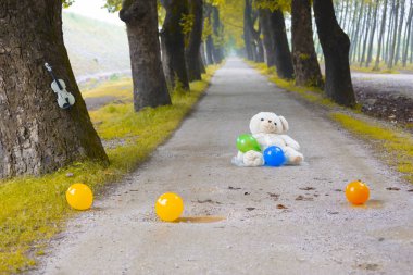 Doğanın güzel renkleri. Dudaklı, Bursa, Türkiye