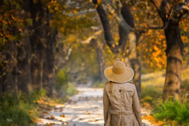 Doğanın güzel renkleri. Dudaklı, Bursa, Türkiye