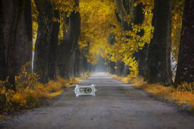 Doğanın güzel renkleri. Dudaklı, Bursa, Türkiye