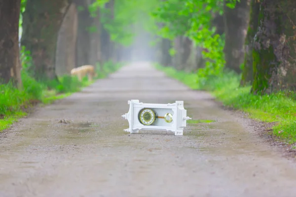 Doğanın güzel renkleri. Dudaklı, Bursa, Türkiye