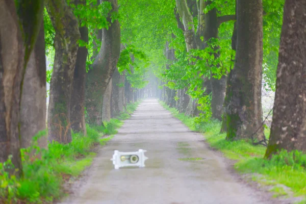 Doğanın güzel renkleri. Dudaklı, Bursa, Türkiye