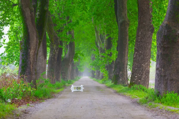Doğanın güzel renkleri. Dudaklı, Bursa, Türkiye