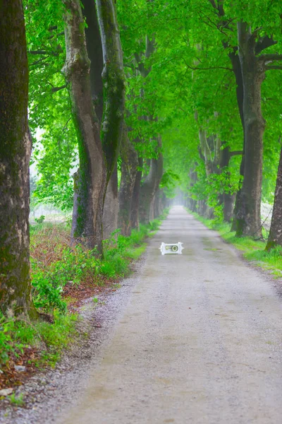 Doğanın güzel renkleri. Dudaklı, Bursa, Türkiye