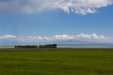 Artos Dağları / Van - Türkiye 