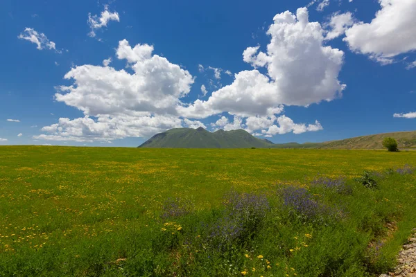 Lápides Ahlat São Famosas Por Sua Dimensão Design Cemitério Permanece — Fotografia de Stock