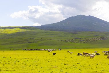 Ağrı Dağı (Büyük Ağrı), türkiye ile Ermenistan arasındaki sınırda, türkiye'nin doğusundan görülene kadar, en az bulutlu ve aşağıda görülecek olan açık bir günde, kar yağışlı.