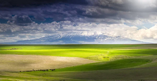 Ağrı Dağı Büyük Ağrı Türkiye Ile Ermenistan Arasındaki Sınırda Türkiye — Stok fotoğraf