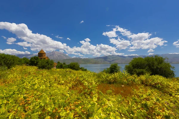 Ostrov Akdamar Surp Kostel Akdamaru Panoramatický Obraz Důležité Náboženské Místo — Stock fotografie