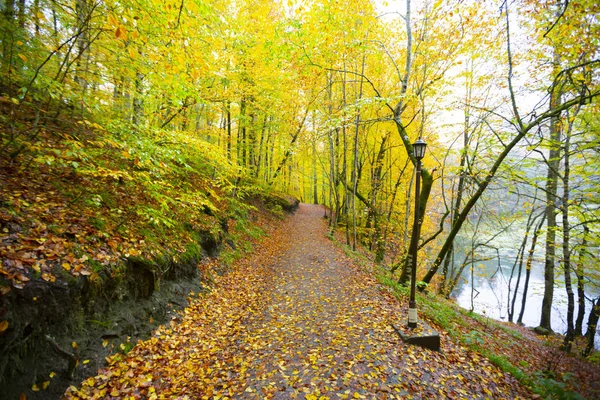 秋のボルトルコのセブンレイクス国立公園 イエディゴラー パーク — ストック写真