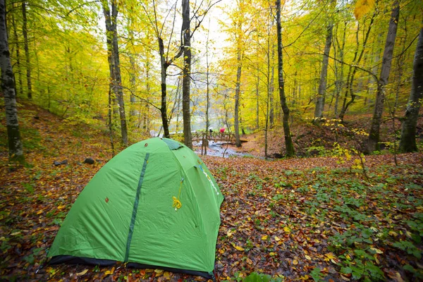 Sevenlakes National Park Autumn Bolu Turkey Yedigoller Milli Park — Stock Photo, Image