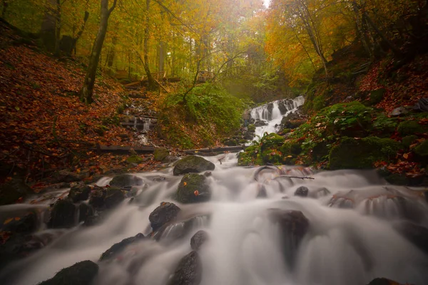 Sevenlakes National Park Automne Bolu Turquie Yedigoller Milli Parc — Photo