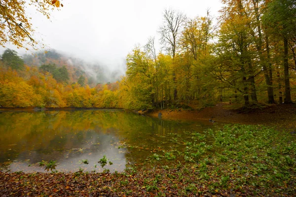 Sedmijezská Národní Park Podzim Bolu Turkey Yedigoller Milli Park — Stock fotografie