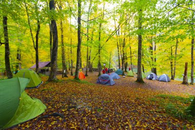 Bolu Türkiye Sonbahar'da Sevenlakes Milli Parkı. Yedigöller Milli Parkı