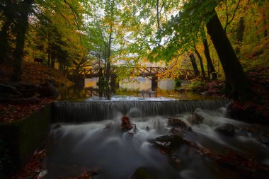 Bolu Türkiye Sonbahar'da Sevenlakes Milli Parkı. Yedigöller Milli Parkı