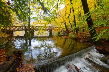 Bolu Türkiye Sonbahar'da Sevenlakes Milli Parkı. Yedigöller Milli Parkı