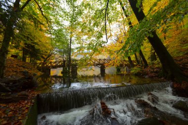 Bolu Türkiye Sonbahar'da Sevenlakes Milli Parkı. Yedigöller Milli Parkı