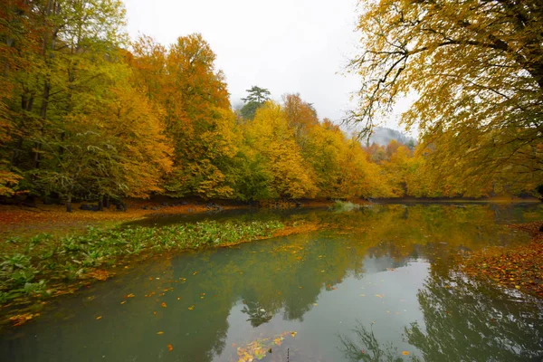 Национальный Парк Седьмые Озера Турции Осенью Едигольский Парк Милли — стоковое фото