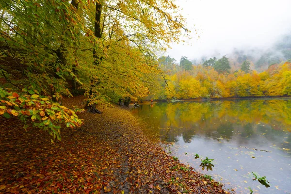 秋のボルトルコのセブンレイクス国立公園 イエディゴラー パーク — ストック写真