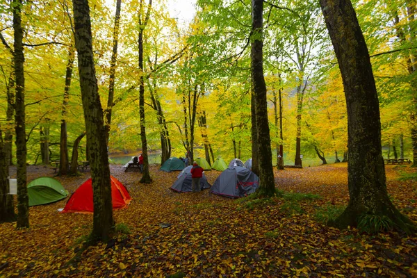 Sedmijezská Národní Park Podzim Bolu Turkey Yedigoller Milli Park — Stock fotografie