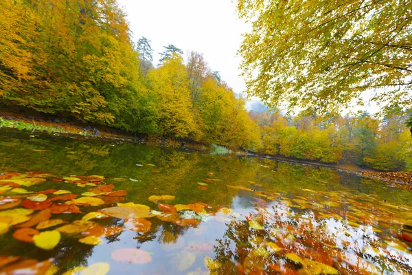 Sevenlakes Nemzeti Park Őszi Bolu Törökországban Yedigoller Milli Park — Stock Fotó