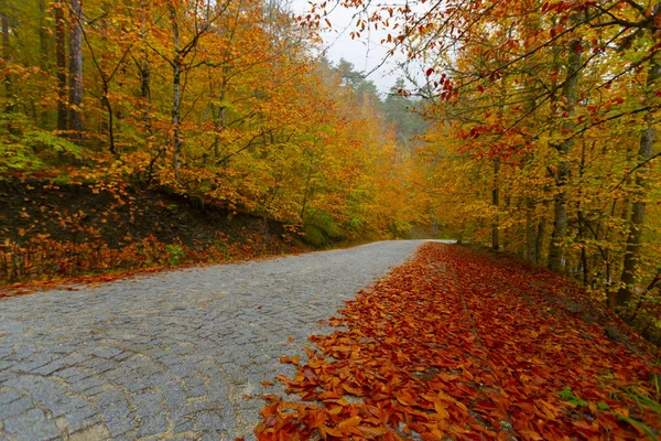 Parque Nacional Sevenlakes Outono Bolu Turquia Parque Yedigoller Milli — Fotografia de Stock