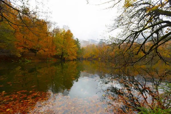 Sevenlakes Nemzeti Park Őszi Bolu Törökországban Yedigoller Milli Park — Stock Fotó